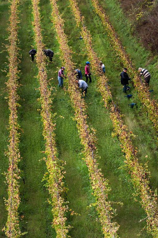 Wine Resort Villagrande Milo Eksteriør bilde