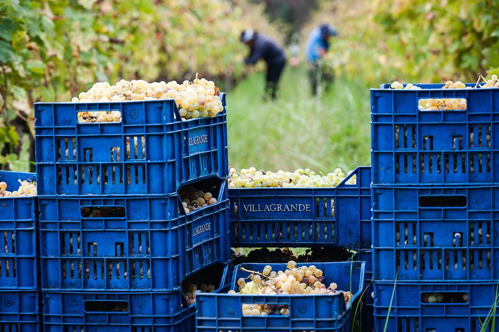 Wine Resort Villagrande Milo Eksteriør bilde